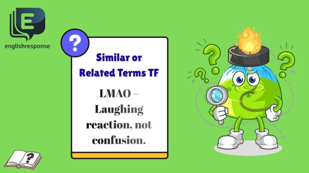 Similar or Related Terms TF