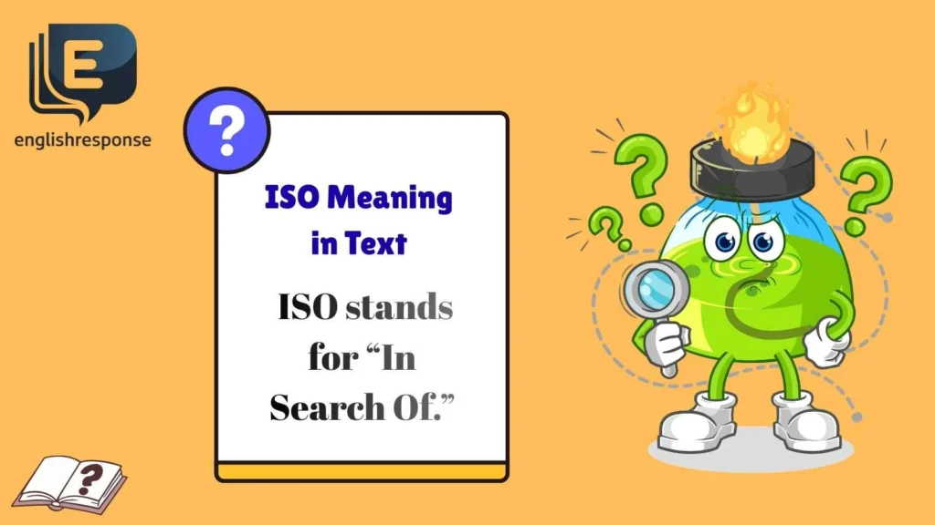 ISO Meaning in Text