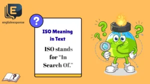 ISO Meaning in Text