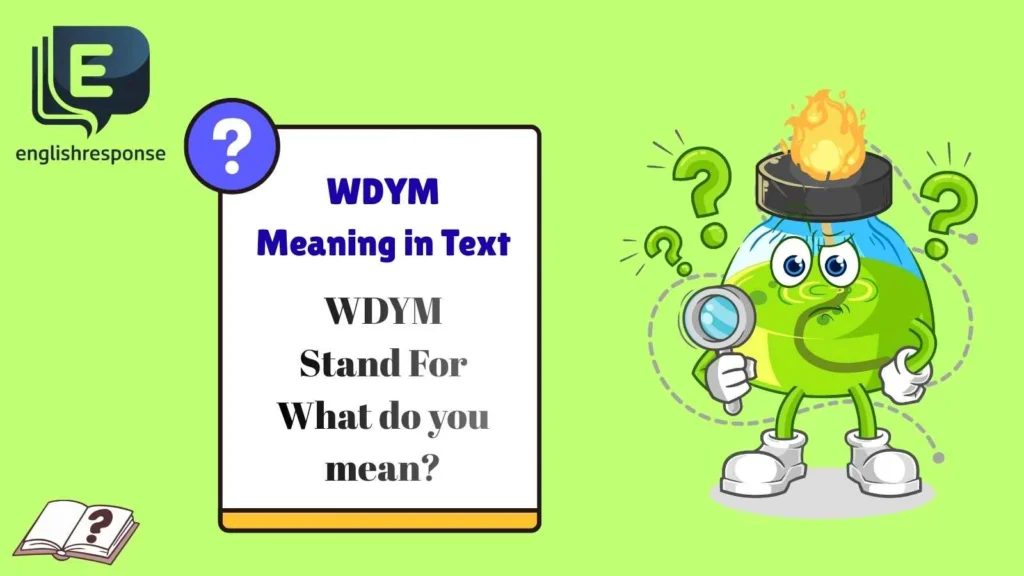 WDYM Meaning in Text