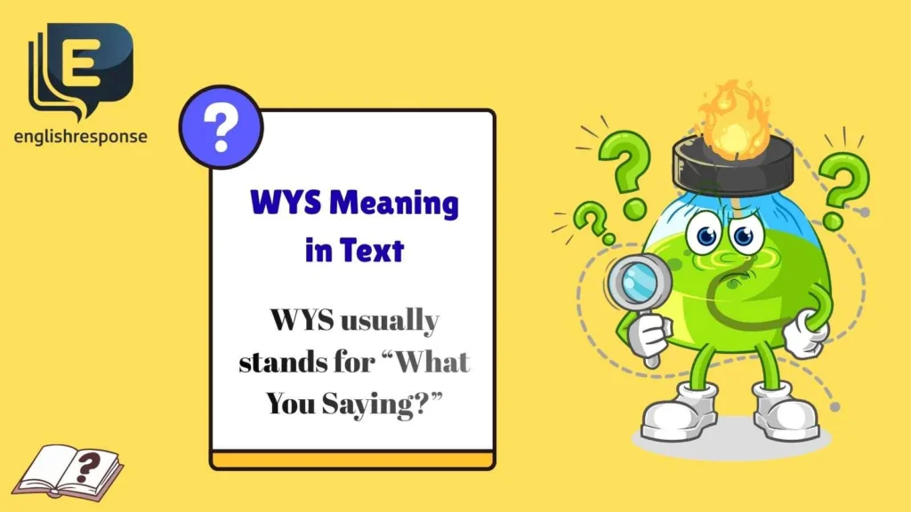 WYS Meaning in Text