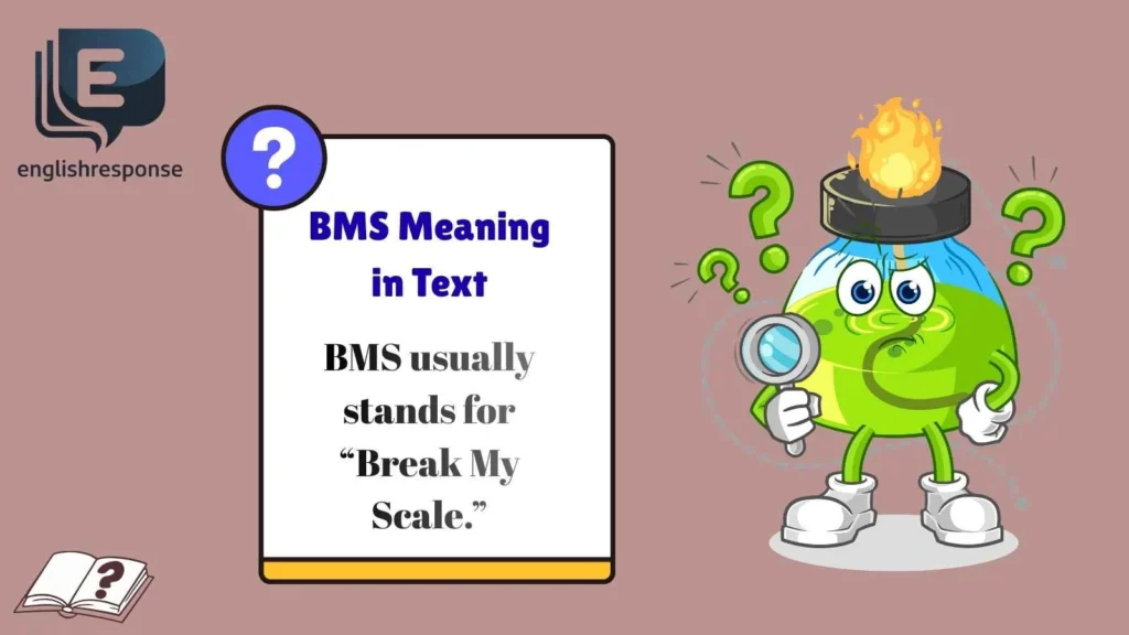 BMS Meaning in Text