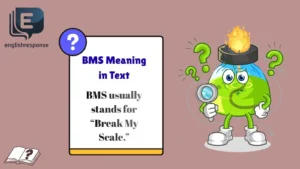 BMS Meaning in Text