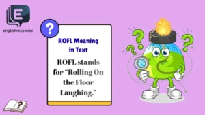 ROFL Meaning in Text
